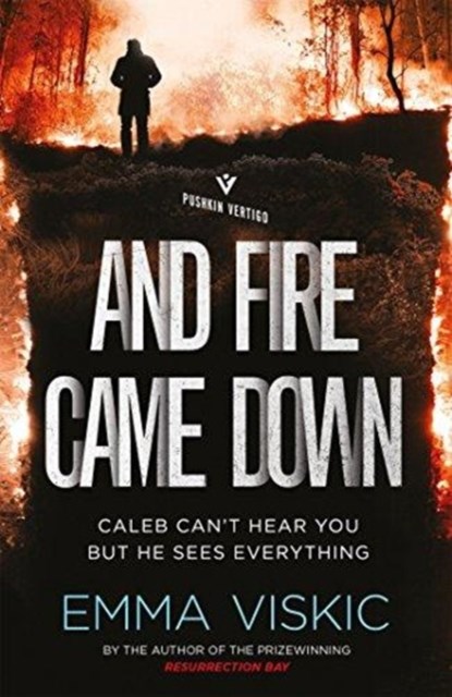 And Fire Came Down, Emma Viskic - Paperback - 9781782274551