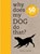 Why Does My Dog Do That?, COLLINS,  Sophie - Paperback - 9781782401292