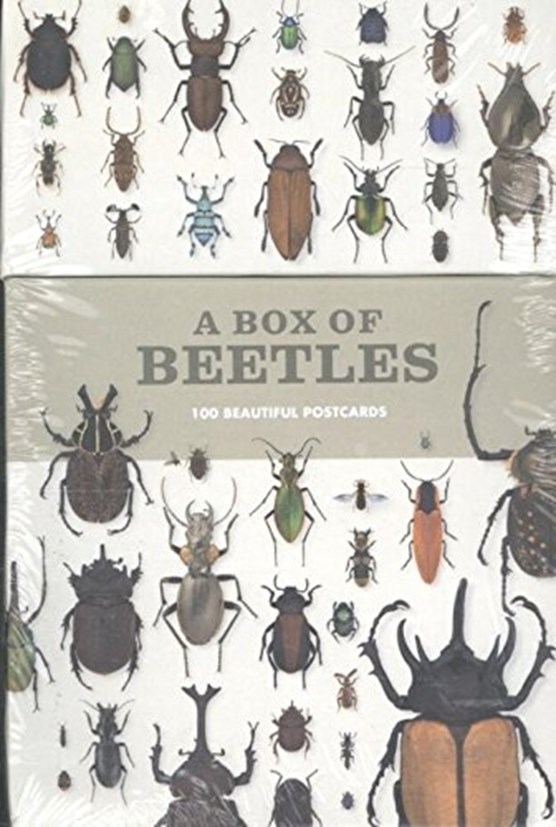 A Box of Beetles