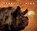 Beautiful Pigs, CASE,  Andy - Paperback - 9781782407782