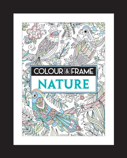 Colour and Frame, Felicity French - Paperback - 9781782435846