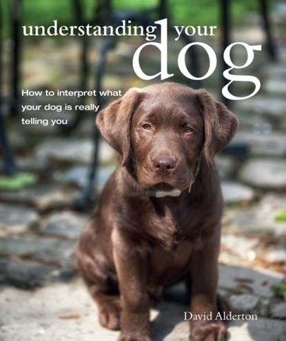 Understanding Your Dog, David Alderton - Paperback - 9781782493921