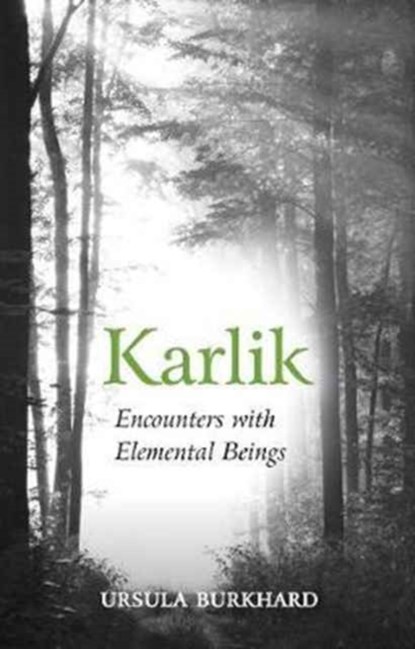 Karlik, Ursula Burkhard - Paperback - 9781782504443