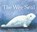 The Wee Seal, Janis Mackay - Paperback - 9781782508779