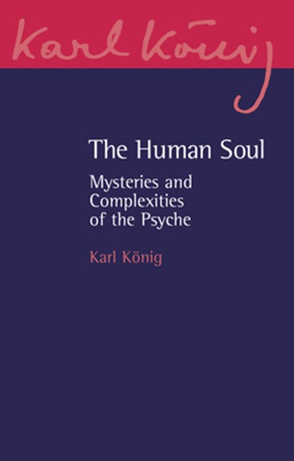 The Human Soul, Karl Konig - Paperback - 9781782509653