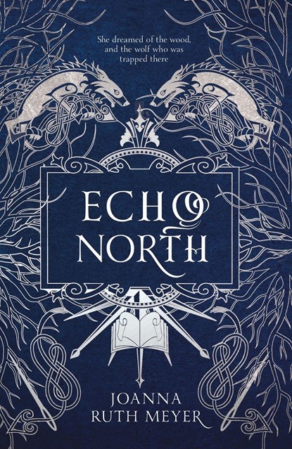 Echo North, MEYER,  Joanna Ruth - Paperback - 9781782693550