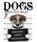 Dogs Gone Bad, Jack Russell - Gebonden - 9781782743217