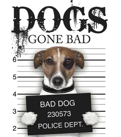 Dogs Gone Bad, Jack Russell - Gebonden - 9781782743217