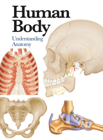 Human Body, Jane de Burgh - Paperback - 9781782743774