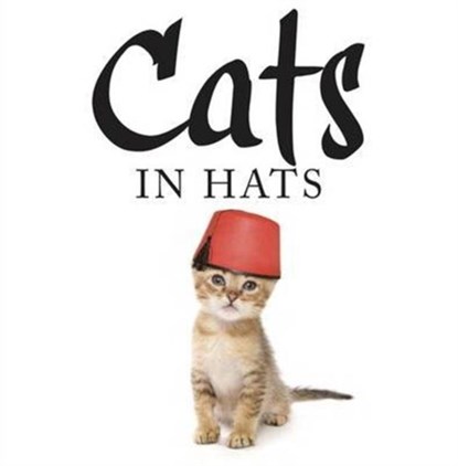 Cats in Hats, Kat Scratching - Gebonden - 9781782744306