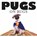 Pugs on Rugs, niet bekend - Gebonden - 9781782744313