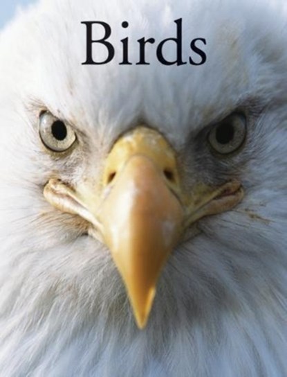 Birds, Per Christiansen ; Paula Hammond - Paperback - 9781782745266