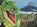 Dinosaurs, Veronica Ross - Gebonden - 9781782745839