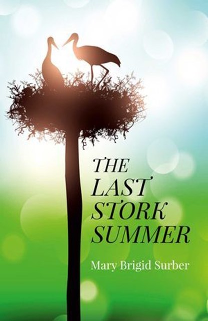 The Last Stork Summer, Mary Brigid Surber - Ebook - 9781782799351