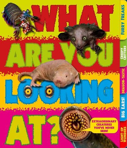 What Are You Looking At?, Sara Stanford - Paperback - 9781783124596