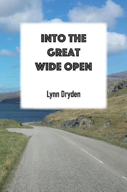 Into the Great Wide Open, Lynn Dryden - Paperback - 9781783173471