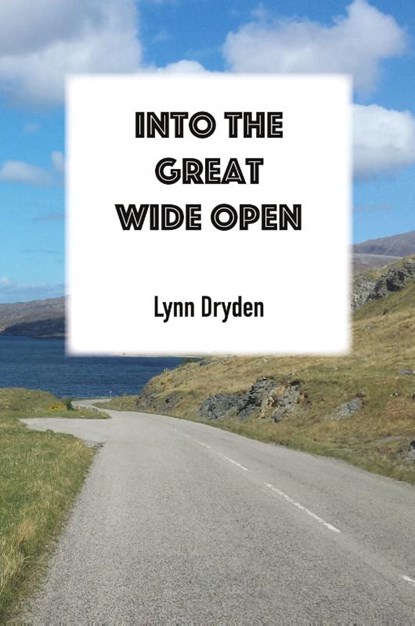 Into the Great Wide Open, Lynn Dryden - Paperback - 9781783173471