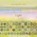 Light, Corinne Randall - Paperback - 9781783208029