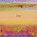 Joy, Corinne Randall - Paperback - 9781783208050