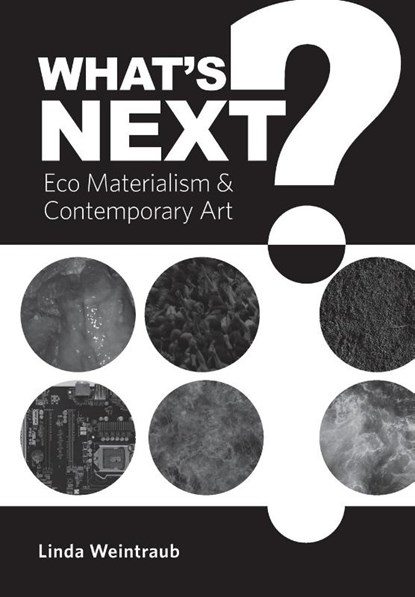 What's Next?, Linda Weintraub - Paperback - 9781783209408