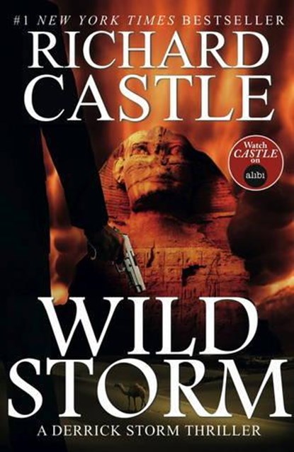 Wild Storm, Richard Castle - Paperback - 9781783294305
