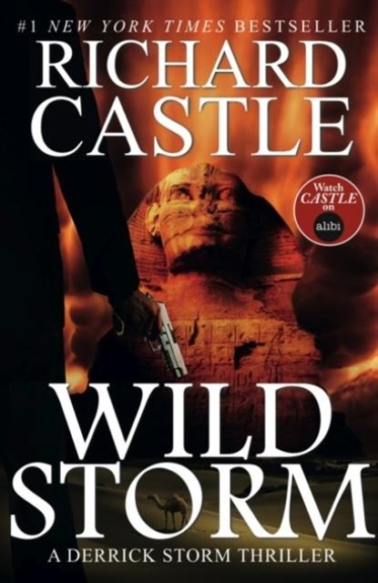 Wild Storm, Richard Castle - Paperback - 9781783294305