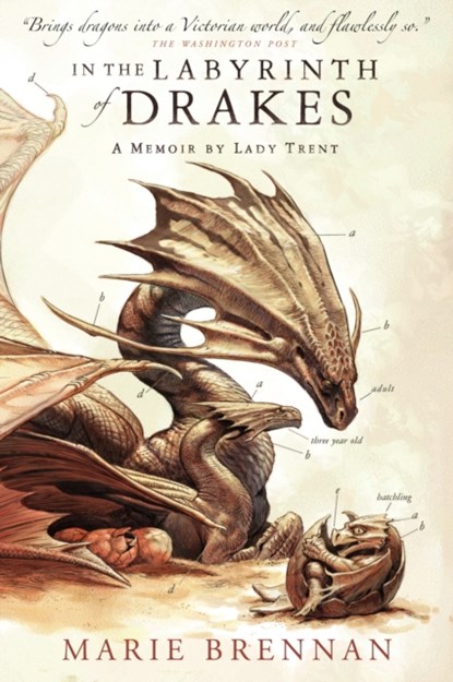 In the Labyrinth of Drakes, Marie Brennan - Paperback - 9781783297764