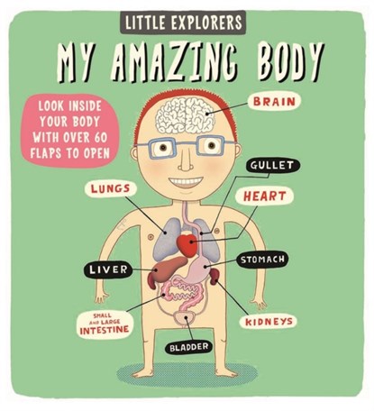 Little Explorers: My Amazing Body, Ruth (Author) Martin - Gebonden Gebonden - 9781783701339