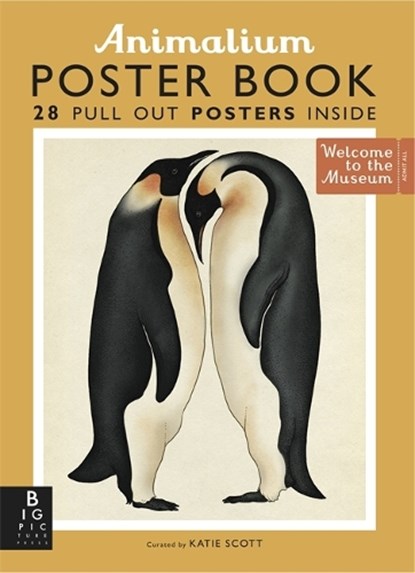 Animalium Poster Book, SCOTT,  Katie - Paperback - 9781783703531