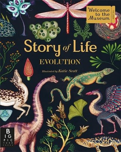 Story of life: evolution, katie scott - Overig Gebonden - 9781783704446