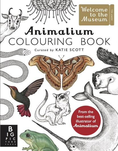 Animalium Colouring Book, Kate Baker - Paperback - 9781783706129