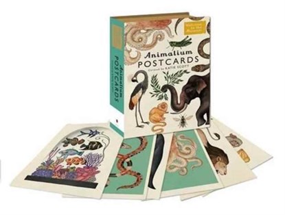 Animalium Postcards, BROOM,  Jenny - Gebonden Paperback - 9781783706259