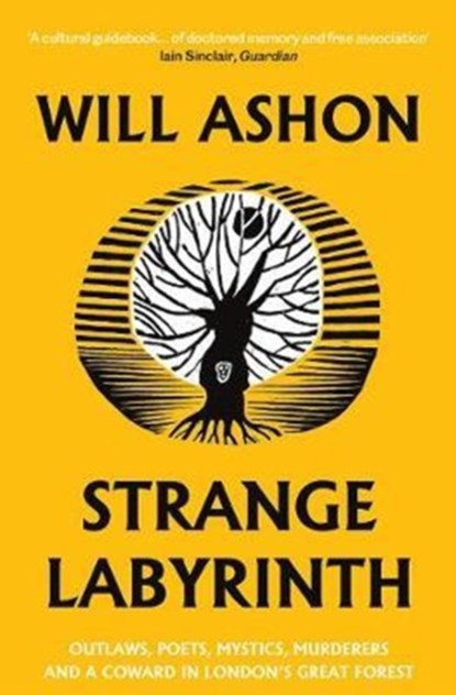 Strange Labyrinth, Will Ashon - Paperback - 9781783783458