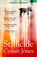 Stillicide, Cynan Jones - Paperback - 9781783787098
