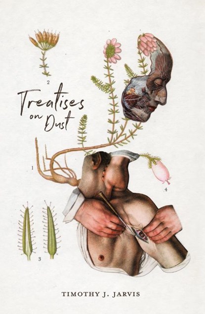 Treatises on Dust, Timothy J. Jarvis - Paperback - 9781783807819