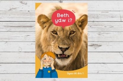 Dyna Chi Dric: Beth Ydw I?, Eirian Lloyd Jones ; Aneirin Karadog - Paperback - 9781783904495