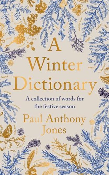 A Winter Dictionary, Paul Anthony Jones - Paperback - 9781783969067