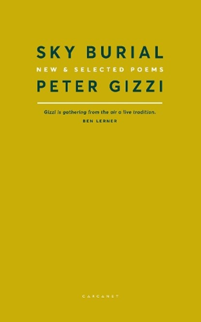 Sky Burial, Peter Gizzi - Paperback - 9781784108229