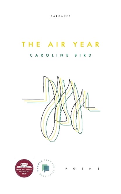 The Air Year, Caroline Bird - Paperback - 9781784109028
