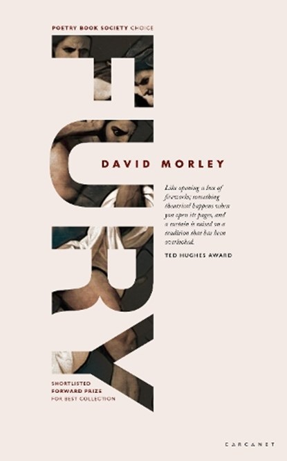 FURY, MORLEY,  David - Paperback - 9781784109905