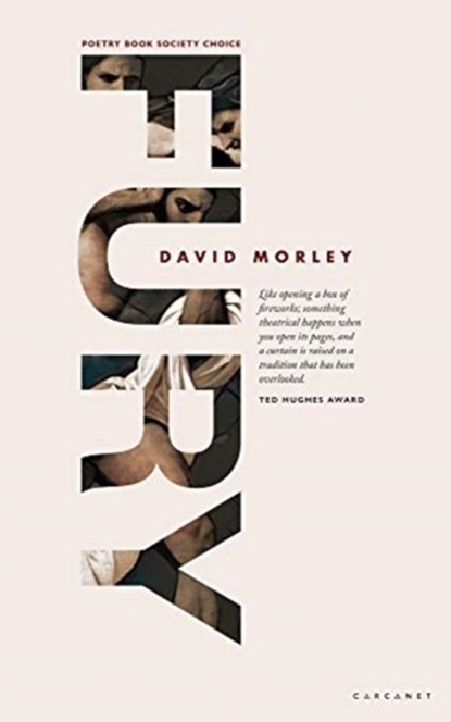 FURY, David Morley - Paperback - 9781784109905