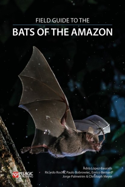Field Guide to the Bats of the Amazon, Adria Lopez-Baucells ; Ricardo Rocha ; Paulo Bobrowiec ; Enrico Bernard ; Jorge Palmeirim ; Christoph F. J. Meyer - Paperback - 9781784271657