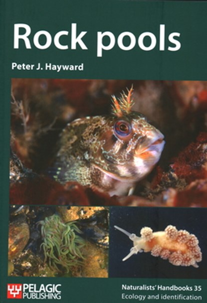Rock pools, Peter J. Hayward - Paperback - 9781784273590