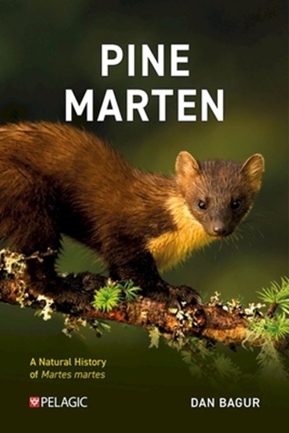 Pine Marten, Dan Bagur - Paperback - 9781784274276