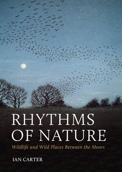 Rhythms of Nature, Ian Carter - Paperback - 9781784275402
