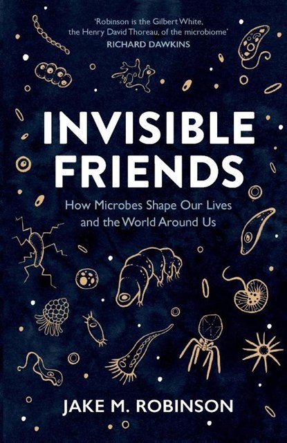 Invisible Friends, Jake Robinson - Paperback - 9781784275686