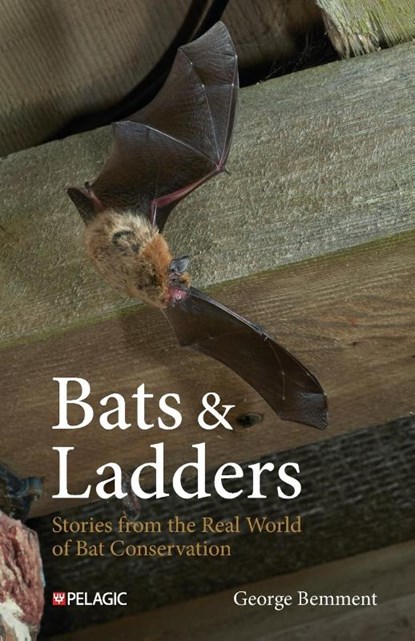 Bats & Ladders, George Bemment - Paperback - 9781784275815