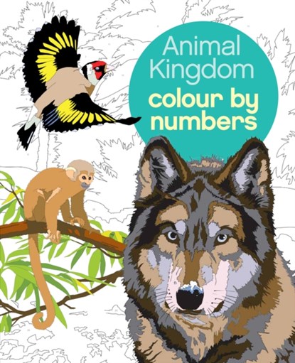 Animal Kingdom Colour by Numbers, Martin (Illustrator) Sanders ; Arpad (Illustrator) Olbey - Paperback - 9781784283841