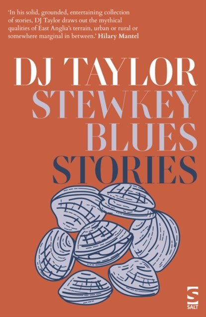 Stewkey Blues, D. J. Taylor - Paperback - 9781784632458