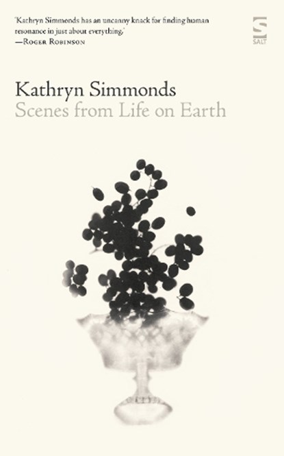 Scenes from Life on Earth, Kathryn Simmonds - Paperback - 9781784632779